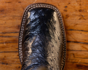 Black Full Quill Ostrich Rom Sole Boot